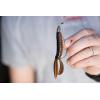 imageBerkley PowerBait Pit Boss Fishing Soft BaitJune Bug