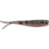 Rainbow Trout