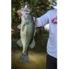 imageBerkley PowerBait MaxScent Chigger Craw Fishing Soft BaitCherryseed