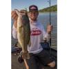 imageBerkley PowerBait MaxScent DWormWatermelon Red