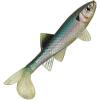 imageBerkley PowerBait Sick FishGhost Minnow