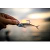 imageBerkley The Champ SwimmerHD Blacknose Shiner