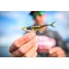 imageBerkley The Champ SwimmerHD Blacknose Shiner