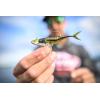 imageBerkley The Champ SwimmerHD Emerald Shiner