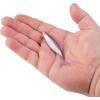 imageBerkley The Champ SwimmerHD Purple Smelt