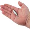 imageBerkley The Champ SwimmerHD Stealth Minnow