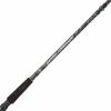 imageAbu Garcia Catfish Commando Baitcast Reel and Fishing Rod Combo