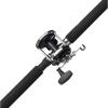 imagePENN Jigmaster Conventional Fishing Reel ampamp Rod Combo