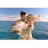 imagePENN Jigmaster Conventional Fishing Reel ampamp Rod Combo