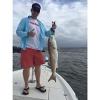 imageUgly Stik Spinning ComboCatfish Spincast  7  Mh  2pc