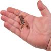 imageBerkley PowerBait MaxScent Lil Trooper Fishing Soft BaitRusty Craw