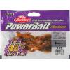 imageBerkley PowerBait MaxScent Lil Trooper Fishing Soft BaitWatermelon CopperOrange wRed