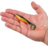 imageBerkley PowerBait The Champ Swimmer Fishing Soft BaitFools Gold