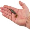 imageBerkley PowerBait The Champ Swimmer Fishing Soft BaitGreen Pumpkin