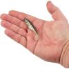 imageBerkley PowerBait The Champ Swimmer Fishing Soft BaitHD Bluegill