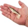 imageBerkley PowerBait The Champ Swimmer Fishing Soft BaitHD Red Belly Goby
