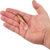 imageBerkley PowerBait The Champ Swimmer Fishing Soft BaitHD Yellow Perch