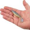 imageBerkley PowerBait The Champ Swimmer Fishing Soft BaitSexy Shad