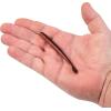 imageBerkley Crawler Fishing Soft BaitNightcrawler
