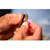 imageBerkley PowerBait Minnow Fishing Soft BaitChartreuse Shad