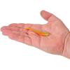 imageBerkley PowerBait Minnow Fishing Soft BaitFiretiger