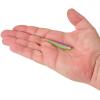 imageBerkley PowerBait Minnow Fishing Soft BaitMagic Man