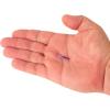 imageBerkley PowerBait Minnow Fishing Soft BaitPurple Magic