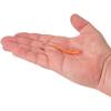 imageBerkley PowerBait Minnow Fishing Soft BaitSangria