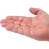 imageBerkley PowerBait Minnow Fishing Soft BaitSangria