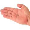 imageBerkley PowerBait Minnow Fishing Soft BaitSmelt