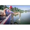 imageBerkley PowerBait Power Eggs Floating Magnum Fishing Soft BaitSalmon Egg Red  Garlic Scent