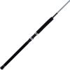 imagePENN Prevail III Boat Spinning Fishing Rod6  Heavy  1