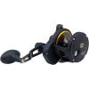 imagePenn 1292934 Fathom 40N Lever 2Speed Lever Drag Fishing Reel25n