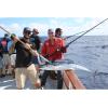 imagePenn 1292934 Fathom 40N Lever 2Speed Lever Drag Fishing Reel30left Hand