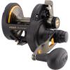 imagePenn 1292934 Fathom 40N Lever 2Speed Lever Drag Fishing Reel30left Hand