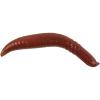 imageBerkley Gulp Alive Floating Pinched Crawler Fishing Soft Bait Nightcrawler 2in