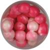 Bubblegum - Garlic Scent