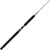 imagePENN Prevail III Jig Spinning Fishing Rod66  Medium  1pc