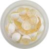 Clear Silver Chartreuse-Fl. White/Garlic