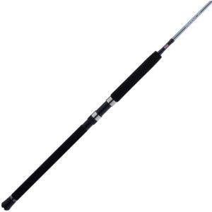 imagePENN Prevail III Boat Spinning Fishing Rod6  Heavy  1