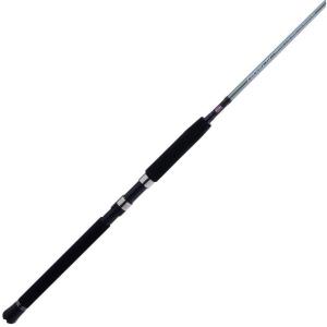 imagePENN Prevail III Boat Spinning Fishing Rod7  Light  1
