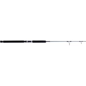 imagePENN Prevail III Jig Spinning Fishing Rod6  Heavy  1pc