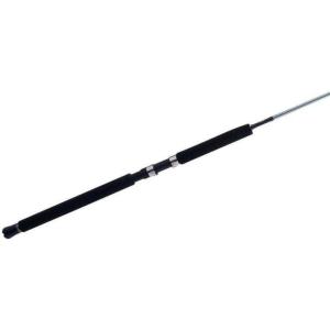 imagePENN Prevail III Jig Spinning Fishing Rod64  Medium Heavy  1pc
