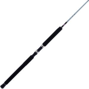 imagePENN Prevail III Jig Spinning Fishing Rod66  Medium  1pc