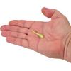 imageBerkley Gulp Alive Minnow Fishing Soft BaitChartreuse Shad