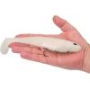 imageBerkley PowerBait CullShad Fishing Soft BaitAlbino