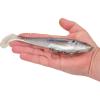 imageBerkley PowerBait CullShad Fishing Soft BaitHD Gizzard Shad