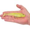 imageBerkley PowerBait CullShad Fishing Soft BaitLime Ice