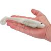 imageBerkley PowerBait CullShad Fishing Soft BaitSight Flash