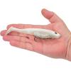 imageBerkley PowerBait CullShad Fishing Soft BaitSight Flash